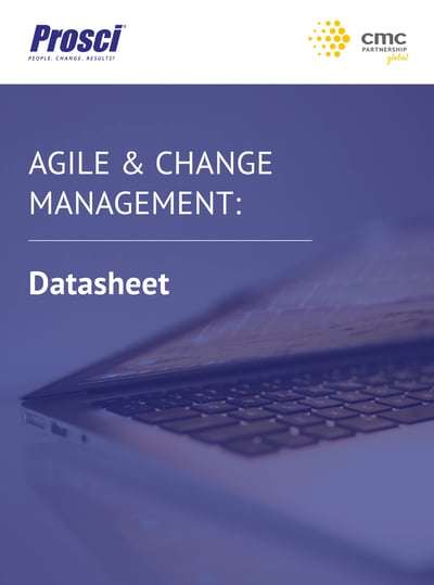 Agile & Change 1