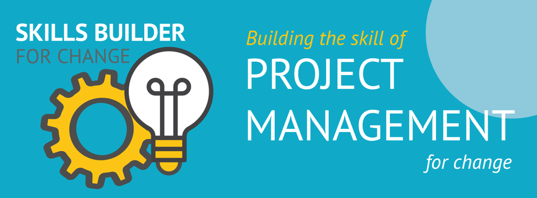 Project Management for Change
